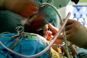 ALERTĂ în România. Oamenii MOR pe capete din cauza ciupercilor OTRĂVITOARE. Spitalul Fundeni e ca un FRONT de RĂZBOI în aceste momente