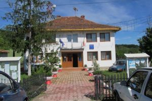 Doi consilieri liberali din Berleşti, cu dosar penal pentru fals în declaraţii!