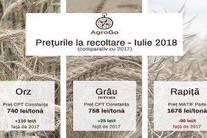 ANALIZĂ AgroGo: Evoluţia preţului la grâu, rapiţă şi orz în perioada recoltării în 2018
