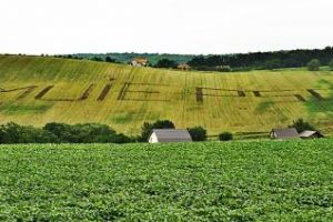 Clujeanul din Sâmboleni, care a scris pe câmp M... PSD, a recidivat: Vă vedem! - FOTO