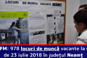 AJOFM: 978 locuri de muncă vacante la data de 23 iulie 2018 în judeţul Neamţ