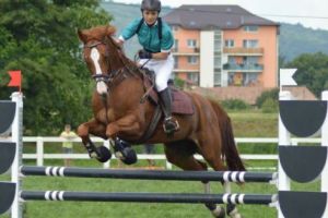 Cupa României la hipism, Naţionalele continuă