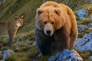 De la TIFF la Timisoara. Sase zile, sase filme multipremiate, la Gradina de Vara