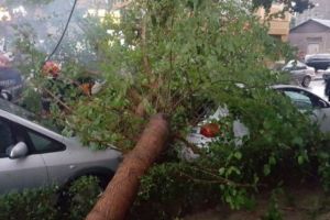 Furtuna a măturat judeţul