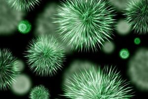 ȘOCANT! Bulgarii construiesc UN GARD La graniţa cu România. Epidemia i-a SPERIAT