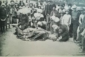 #citesteDobrogea: Cum intampinau bulgarii dobrogeni Anul Nou. Lucrari din Biblioteca Virtuala ZIUA de Constanta