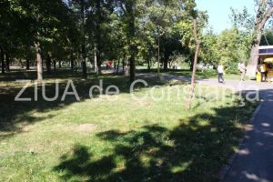 Liberalii constanteni ii cer lui Decebal Fagadau sa infiinteze noi spatii verzi in Constanta, pe minimum 300 de hectare!