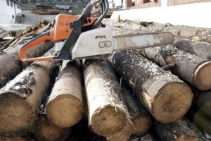 Bărbat strivit de copac în timp ce tăia lemne