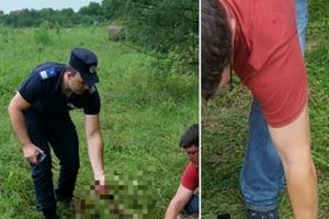Caz TULBURĂTOR, pe marginea drumului! Operaţiune MAI PUŢIN OBIŞNUITĂ a Jandarmeriei (FOTO)
