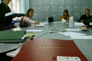 Iulia Todică, profesoară de matematică în Bucerdea Grânoasă, a obţinut singurul 10 la definitivat 2018 din judeţul Alba