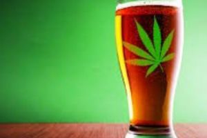 Canadienii crează prima bere pe bază de cannabis din lume