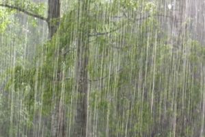 De ce a luat-o razna vremea pe glob – explicaţiile meteorologilor