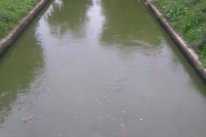 Iata ca se poate! Canalul din Satul de Vacanta a fost igienizat de catre Apele Romane (galerie foto)