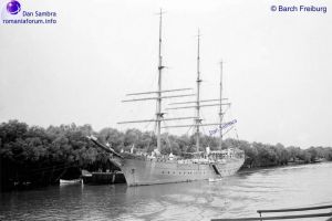 1944, Donau Arapul - Bricul Mircea