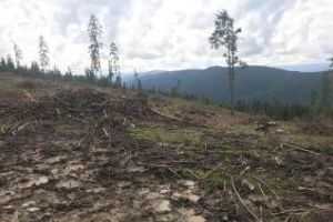 Privelişte de la Crucea Iancului spre Beliş: Era un loc din rai, iar acum e iadul - VIDEO