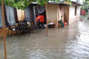 Curti inundate din cauza ploii, la Sannicolau Mare