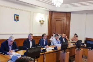 Simionca: Număr îngrijorător de focare de pestă porcină africană. S-a întrunit Comisia pentru agricultură