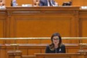 Promisiunile populiste din campanie, fumigene menite să acopere adevăratele interese ale grupărilor mafiote din PSD!