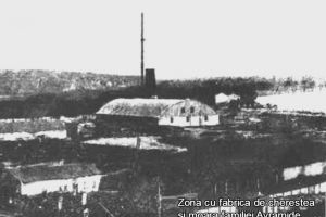 Dezvoltarea economica a orasului Tulcea pe ramuri industriale intre 1919 si 1939 (galerie foto)