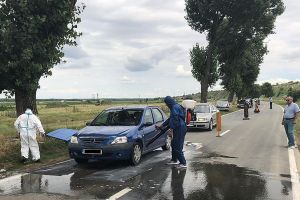 Specialiştii băcăuani, trimişi în ţară să lupte cu pesta porcină