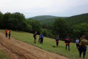 Atenţie la plimbările prin pădure!