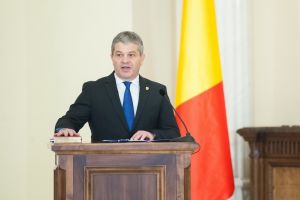 Bodog, file de poveste