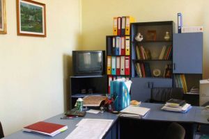 23 de posturi de directori şi directori adjuncţi vacante în unităţile de şcolare din judeţ din Teleorman, pentru anul şcolar 2018-2019