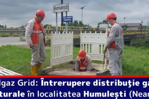 Delgaz Grid: Întrerupere distribuţie gaze naturale în localitatea Humuleşti, judeţul Neamţ