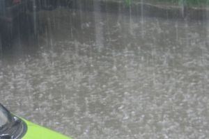 Cod portocaliu de ploi şi vânt