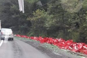 Băut, şoferul a împrăştiat berea pe şosea