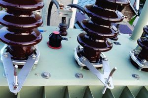 Două victime din ignorarea pericolelor de electrocutare