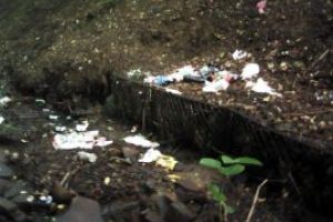 Din natura: Gunoaiele, la ordinea zilei pe Valea Usturoiu (FOTO)