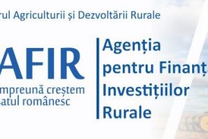 AFIR: Fără infracţiuni economice în cazierul solicitanţilor!