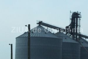 Centru de colectare cereale, extins in localitatea Comana. Ce firma se va ocupa de investitie (document)