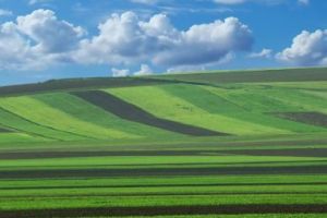 Derogări de la anumite reguli pentru încasarea subvenţiilor