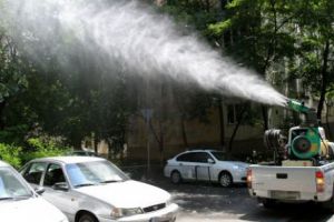 Ne-au ciuruit ţânţarii, deşi Capitala a plătit 6 milioane de euro pentru dezinsecţie