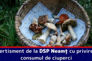 Avertisment de la DSP Neamţ cu privire la consumul de ciuperci