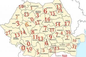 Suceava, cenuşăreasă la repartiţia tinerilor poliţişti, deşi criza de oameni din teren ...