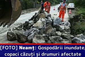 [FOTO] Neamţ: Gospodării inundate, copaci căzuţi şi drumuri afectate