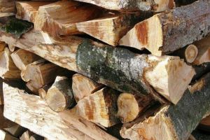 Material lemnos, fără documente de provenienţă, confiscat de poliţişti în urma unei percheziţii la un depozit  din zona Râul Mare, din Cugir