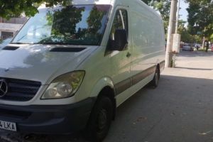 În locul teilor retezaţi, plantăm… dube