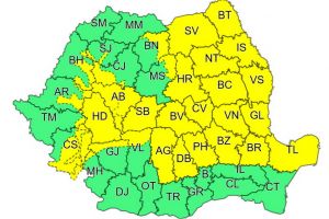 COD GALBEN de furtuni în zona de munte a judeţului Bihor!