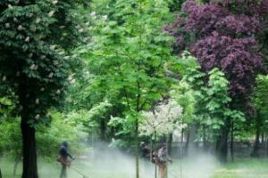 Primăria Timişoara dată în judecată de o societate din subordine