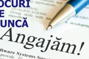 Angajări la o firmă de consultanţă. Se caută a asistent manager/secretar/a