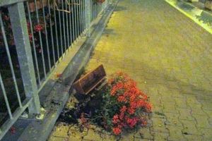 Tanar amendat dupa ce a spart jardiniere cu flori si cosuri de gunoi, pe podul Michelangelo