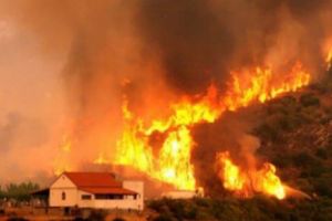 Situaţie DISPERATĂ în Suedia! Premierul Stefan Lofven cere ajutor NATO!