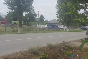 Ialomiţa: Pesta Porcină Africană anulează manifestările dedicate Zilei Imnului Naţional