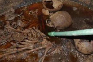 Ministerul Antichităţilor din Egipt a fost ASALTAT de zeci de mii de oameni. PETIȚIA lor a facut înconjurul lumii