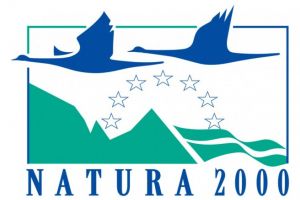 Anunt public privind emiterea actului de reglementare revizuit - Directia Silvica Prahova, Ocolul Silvic Sinaia