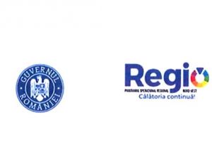 SC Best Ernst SRL Bistriţa: Lansare procedură de achiziţie echipamente, Lot 2